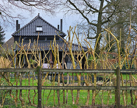 Wellnessloft Drenthe